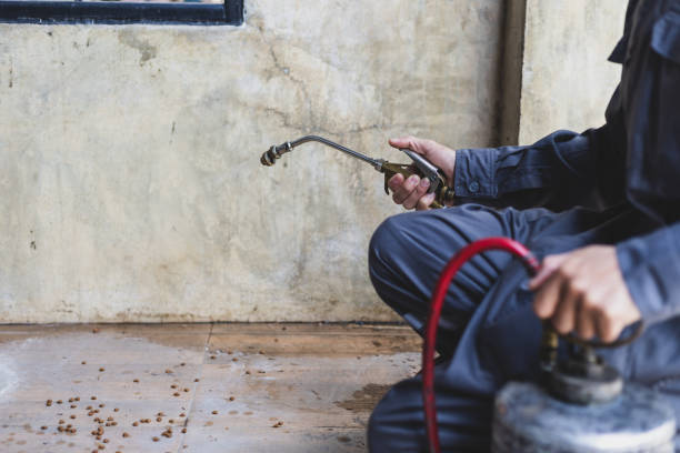 Best Termite Control Services  in Conehatta, MS